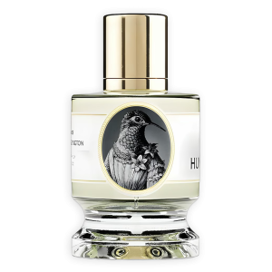 Zoologist Hummingbird
